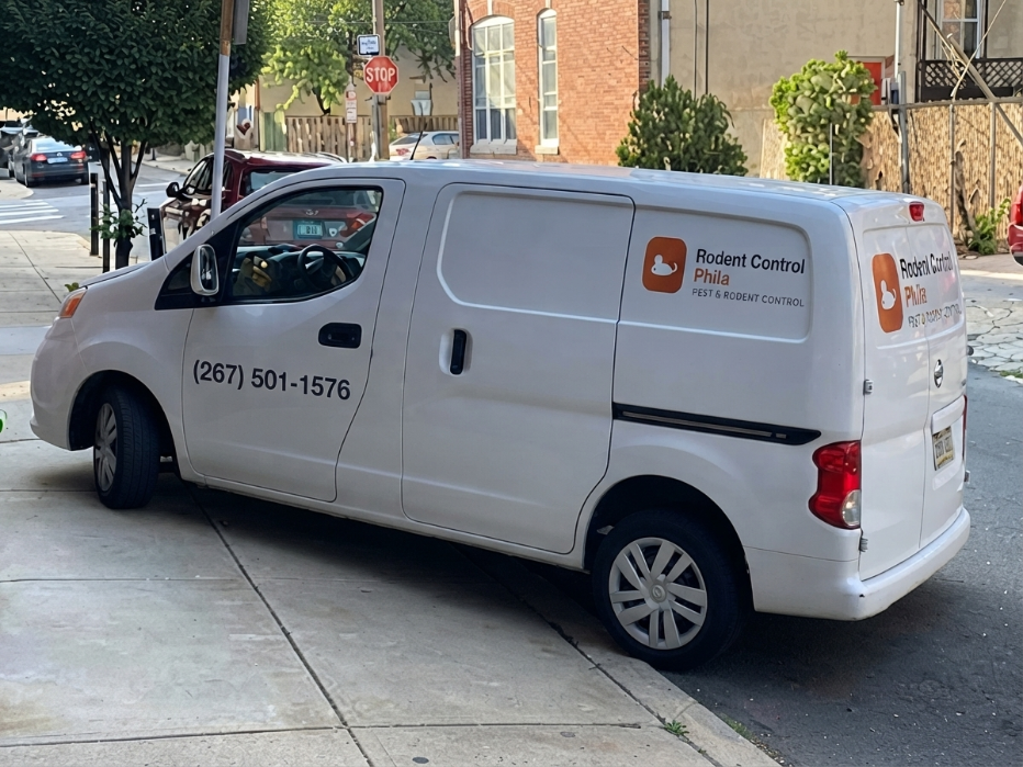 Rodent control services for Philadelphia homes and businesses
